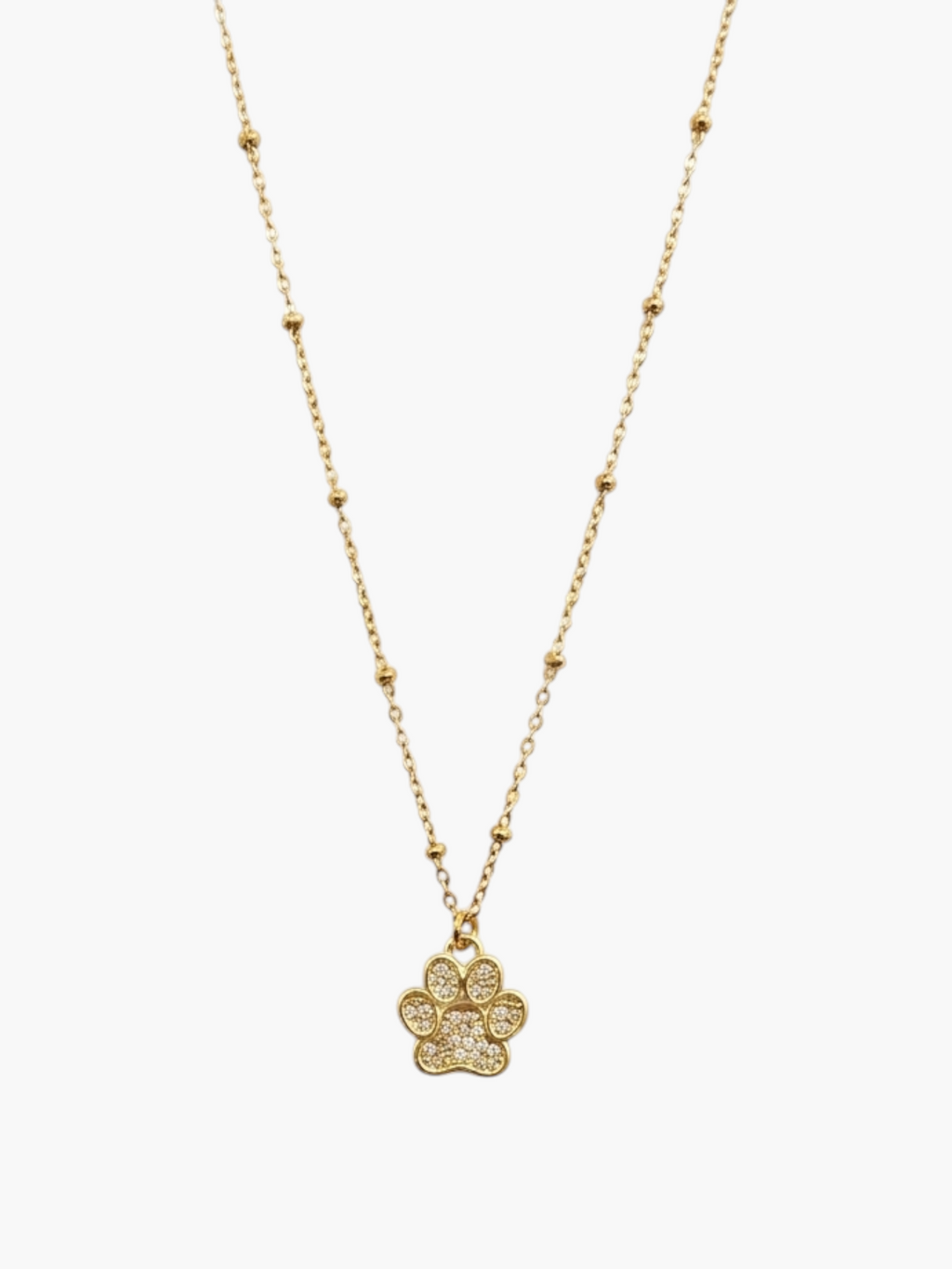 Paw with Ball Chain Necklace